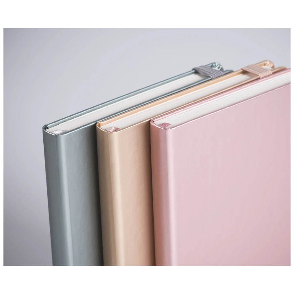 Notizbuch Kompagnon Metallic | A5, punktiert, Gummizugverschluss, silberfarben
