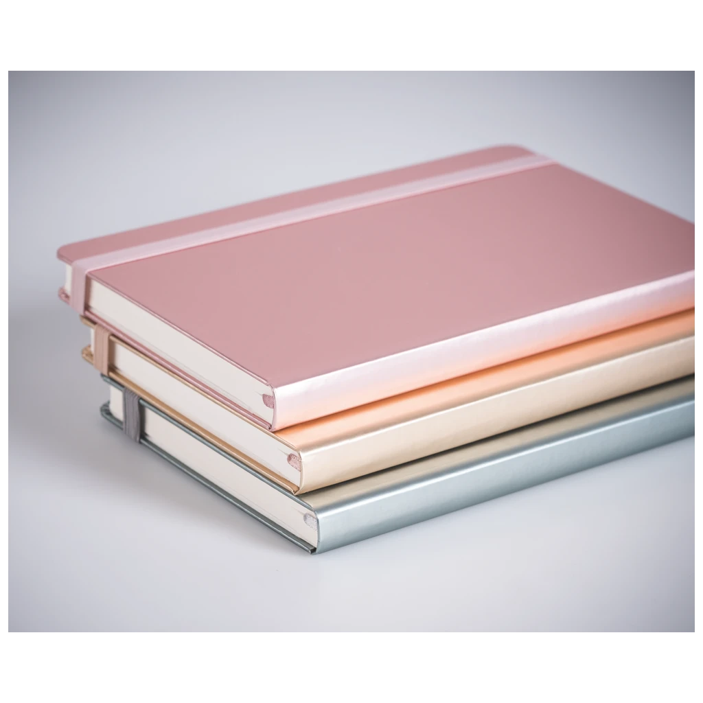 Notizbuch Kompagnon Metallic | A5, punktiert, Gummizugverschluss, silberfarben