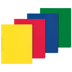 Ringbuch FACT!pp | A4, 2 Ringe, Füllhöhe: 25 mm, sortiert