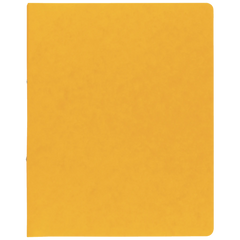 Ringbuch FACT!plus | A4, 2 Ringe, Füllhöhe: 15 mm, gelb