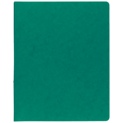 Ringbuch FACT!plus | A4, 2 Ringe, Füllhöhe: 15 mm, grün