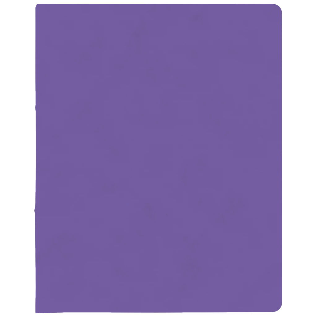 Ringbuch FACT!plus | A4, 2 Ringe, Füllhöhe: 15 mm, violett