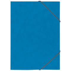 Ringbuch FACT!plus | A4, 2 Ringe, Füllhöhe: 15 mm, blau