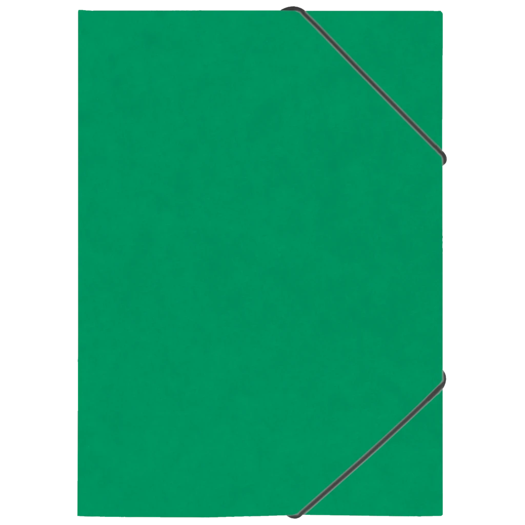 Ringbuch FACT!plus | A4, 2 Ringe, Füllhöhe: 15 mm, grün