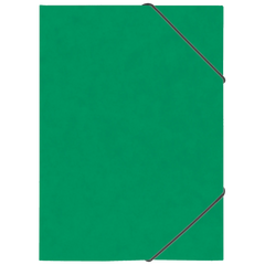 Ringbuch FACT!plus | A4, 2 Ringe, Füllhöhe: 15 mm, grün
