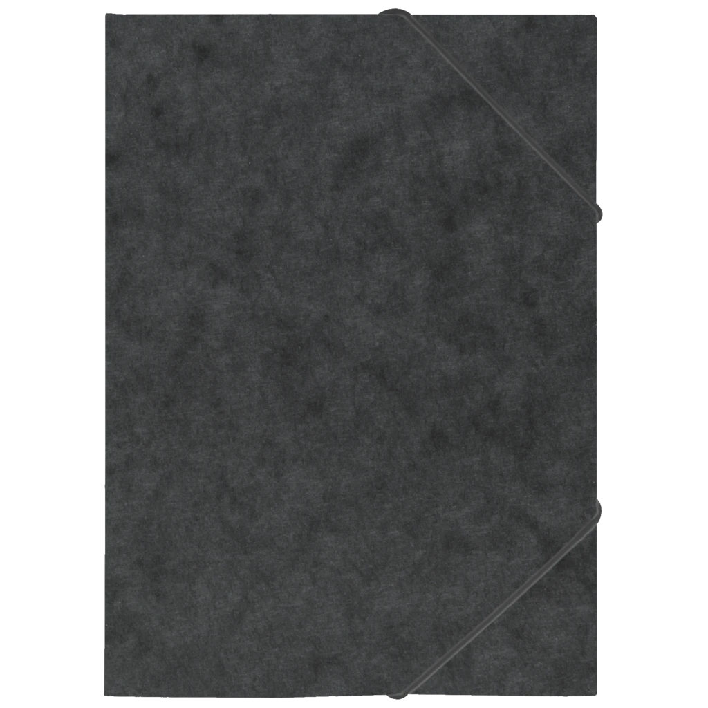 Ringbuch FACT!plus | A4, 2 Ringe, Füllhöhe: 15 mm, schwarz