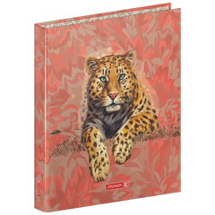 Ringbuch „Leopard“ Safari World | A4, 2 Ringe, Füllhöhe: 20 mm, rot/braun
