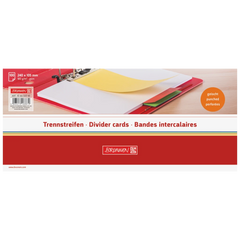Trennstreifen | 105×240 mm, orange, 100 Stück