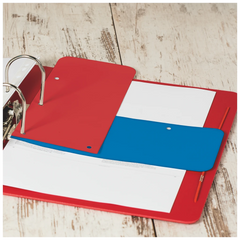 Trennstreifen Colour Code | 105×240 mm, red, 40 Stück