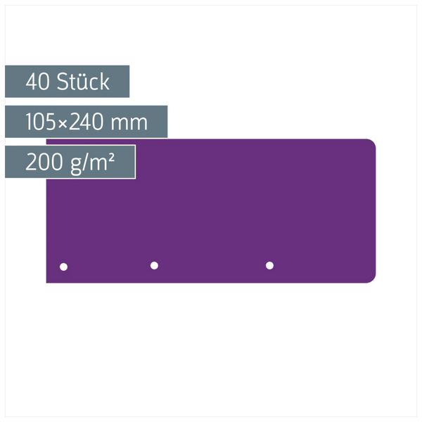 Trennstreifen Colour Code | 105×240 mm, purple, 40 Stück