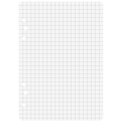 Ringbucheinlagen | A6, 5 mm kariert, weiß, 50 Blatt