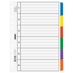 Ringbuchregister | A4, 6 Blatt, weiß