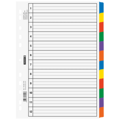 Ringbuchregister | A4, 12 Blatt, weiß