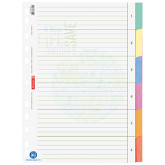 Ringbuchregister Recycling | A4, 6 Blatt