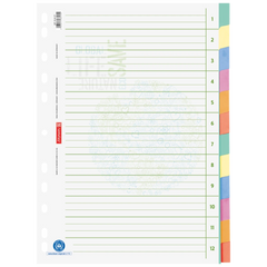 Ringbuchregister Recycling | A4, 12 Blatt