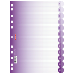 Ringbuchregister Colour Code | A4, 12 Blatt, purple