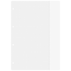 Ringbucheinlagen | A4, 5 mm kariert mit Rand, weiß, 100 Blatt