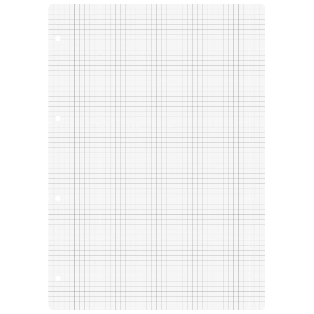 Ringbucheinlagen | A4, 5 mm kariert mit Randlinie innen und außen, weiß, 100 Blatt