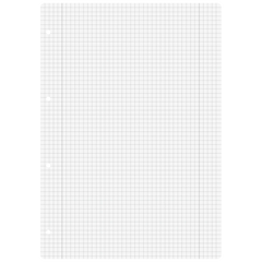 Ringbucheinlagen | A4, 5 mm kariert mit Randlinie innen und außen, weiß, 100 Blatt