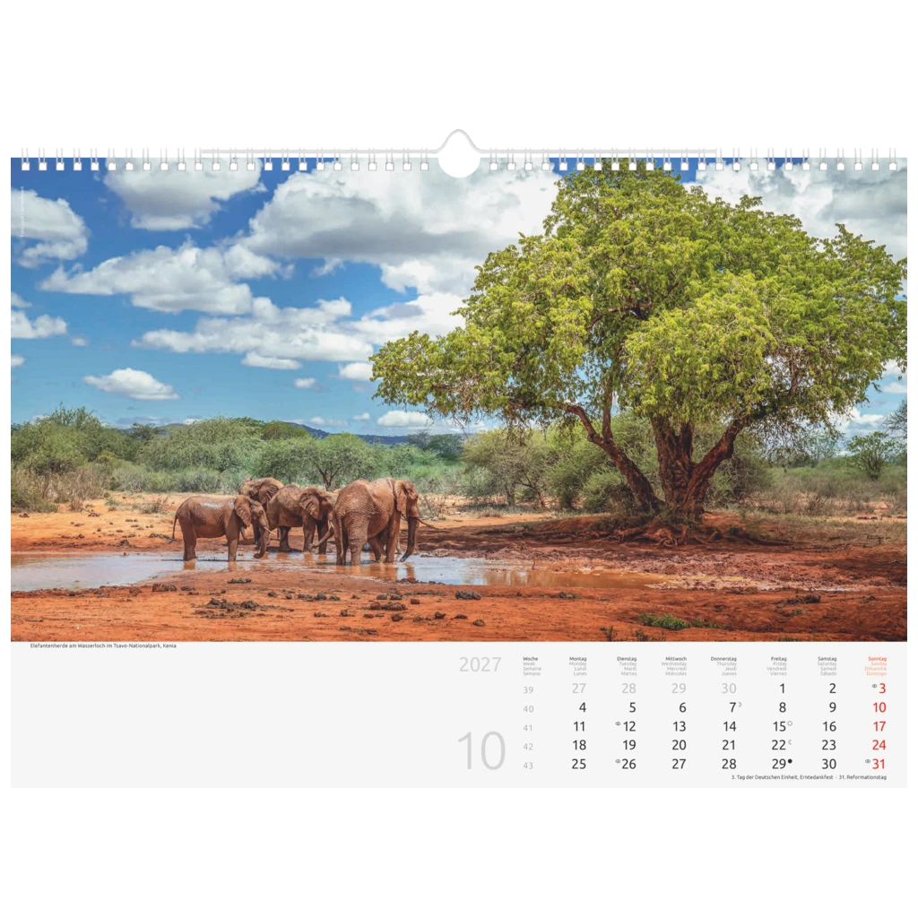 Bildkalender 2027 „Reise um die Welt“ | 440×310 mm