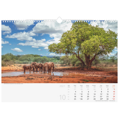 Bildkalender 2027 „Reise um die Welt“ | 440×310 mm