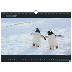 Bildkalender 2027 „Stille Momente“ | 440×310 mm