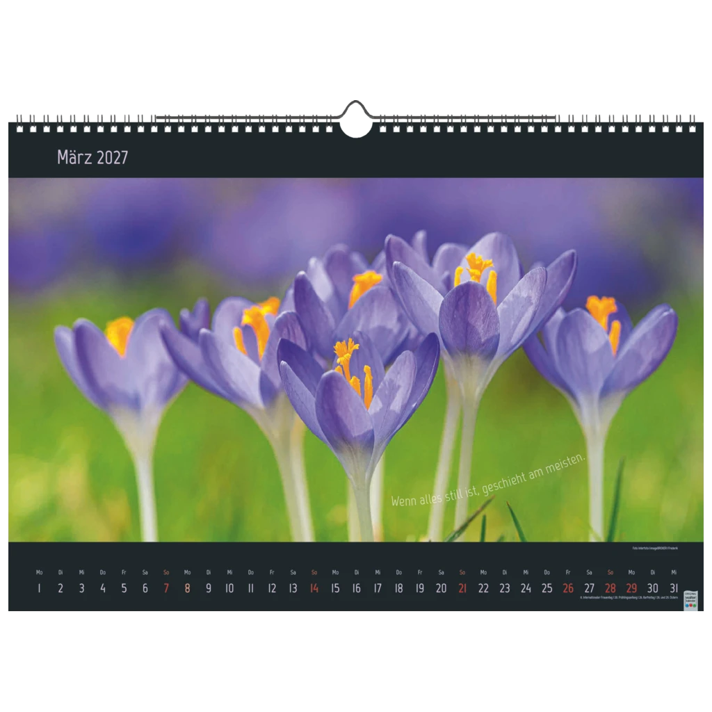 Bildkalender 2027 „Stille Momente“ | 440×310 mm