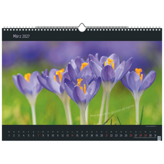 Bildkalender 2027 „Stille Momente“ | 440×310 mm
