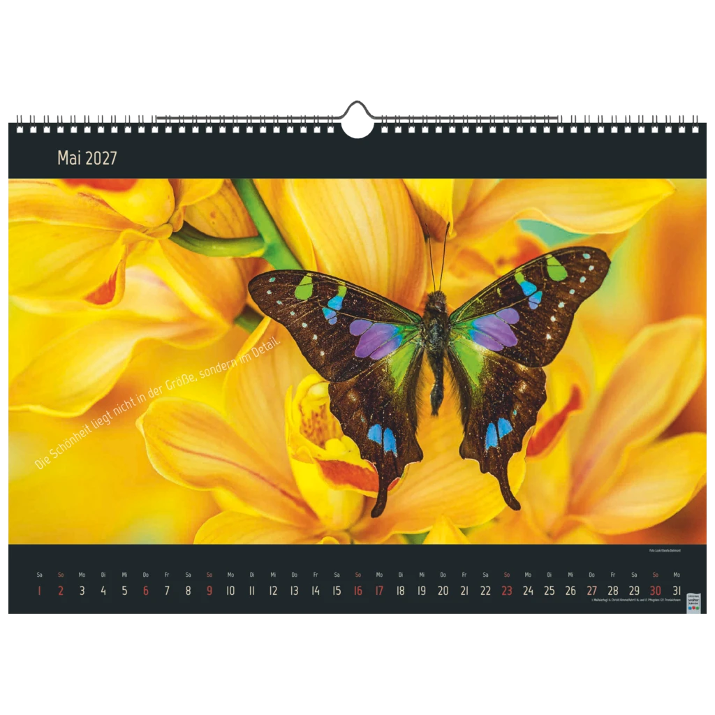 Bildkalender 2027 „Stille Momente“ | 440×310 mm