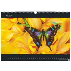 Bildkalender 2027 „Stille Momente“ | 440×310 mm