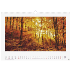 Bildkalender 2027 „Lichtimpressionen“ | 490×340 mm