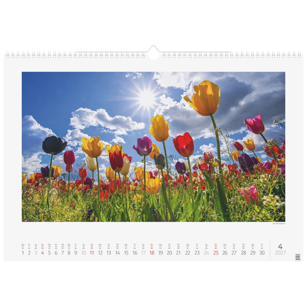 Bildkalender 2027 „Lichtimpressionen“ | 490×340 mm