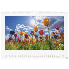 Bildkalender 2027 „Lichtimpressionen“ | 490×340 mm
