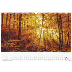 Bildkalender 2027 „Wunderwerke der Natur“ | 490×340 mm
