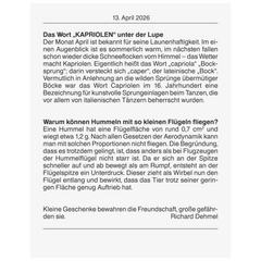 Abreißkalender 2026 Nr. 13 | 98×142 mm