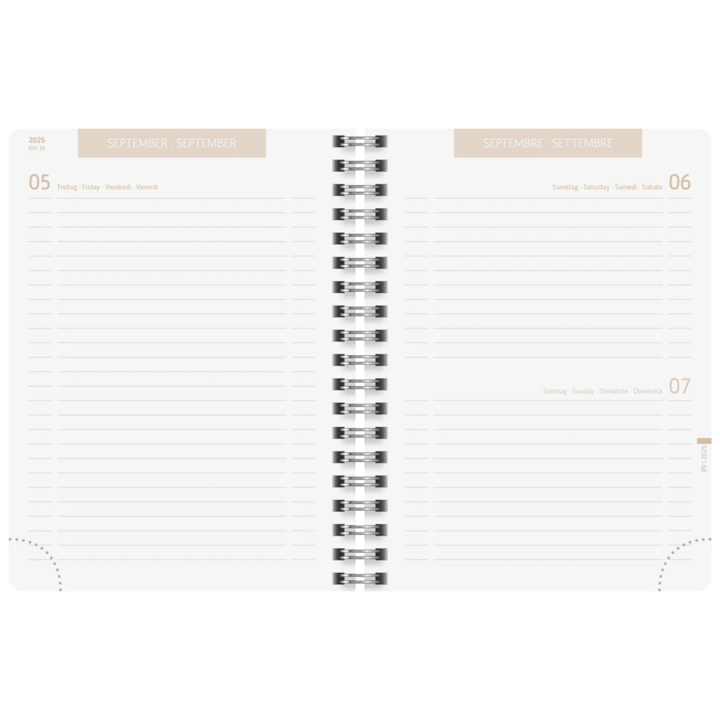 Schülerkalender 2025/2026 „Bear“ | A6, Kunststoff