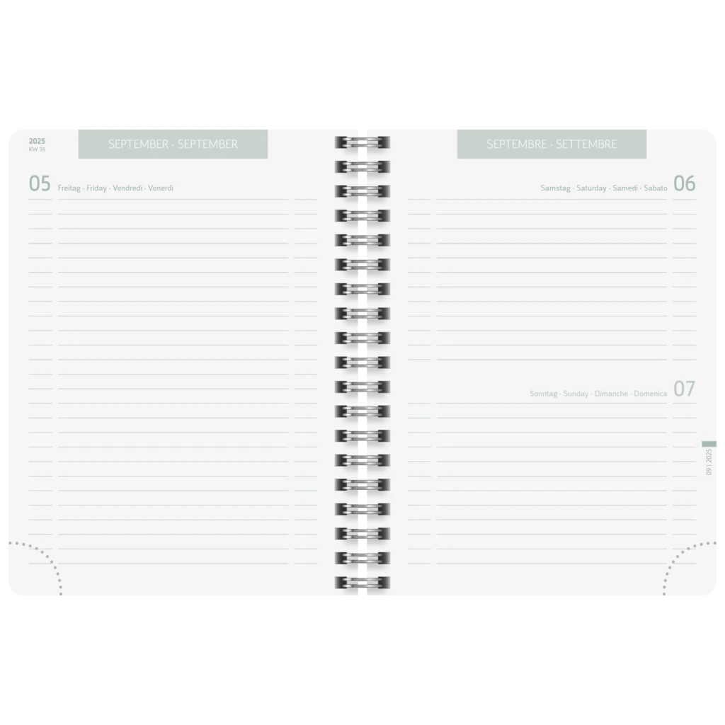 Schülerkalender 2025/2026 „Hearts“ | A6, Kunststoff