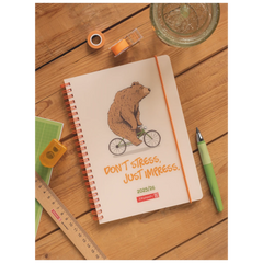 Schülerkalender 2025/2026 „Bear“ | A6, Kunststoff