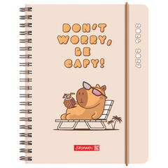 Schülerkalender 2026/2027 „Capy“ | A6, Kunststoff