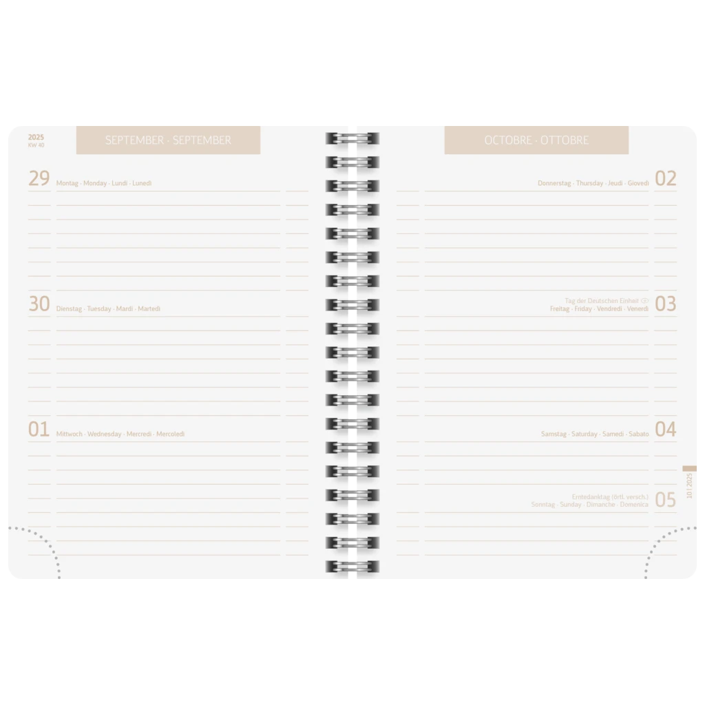 Schülerkalender 2025/2026 „Jungle Leaf“ | A6, Papier