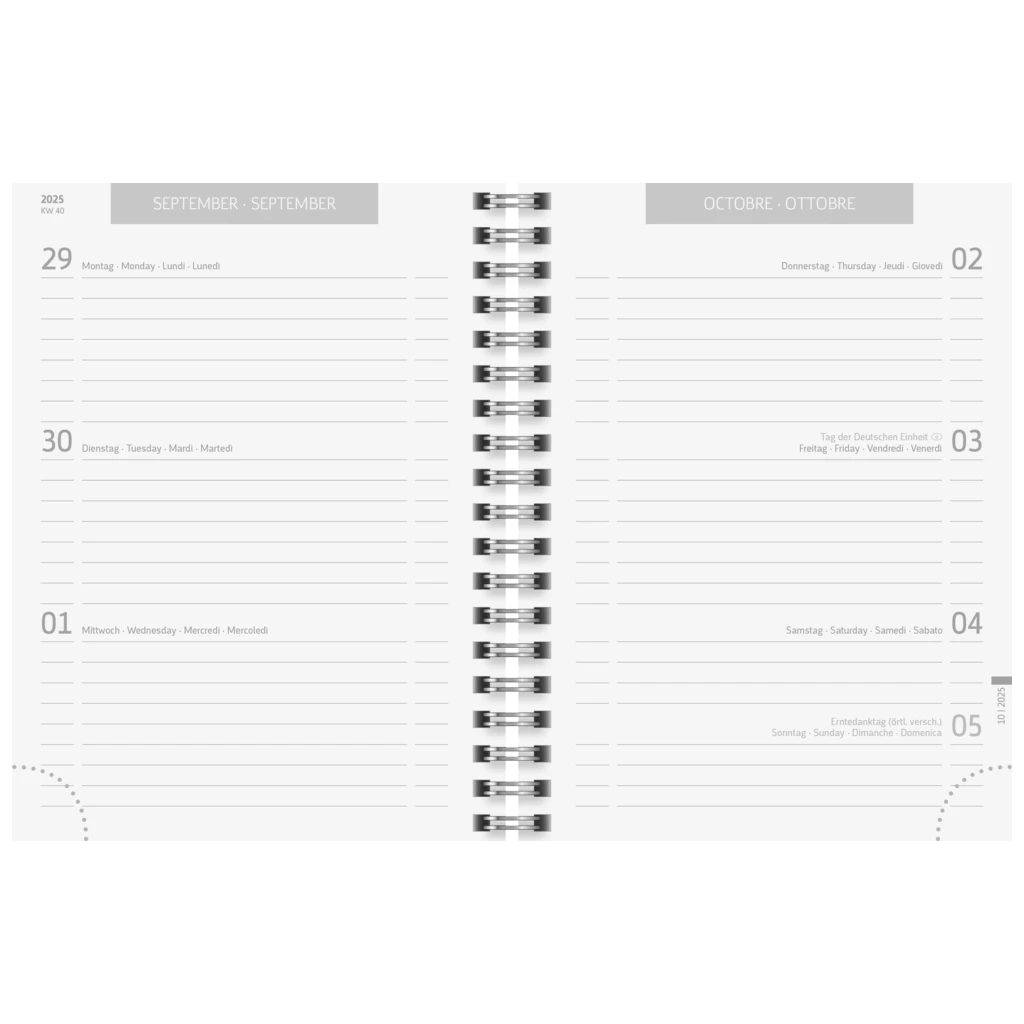 Schülerkalender 2025/2026 „Botanical“ | A6, Karton