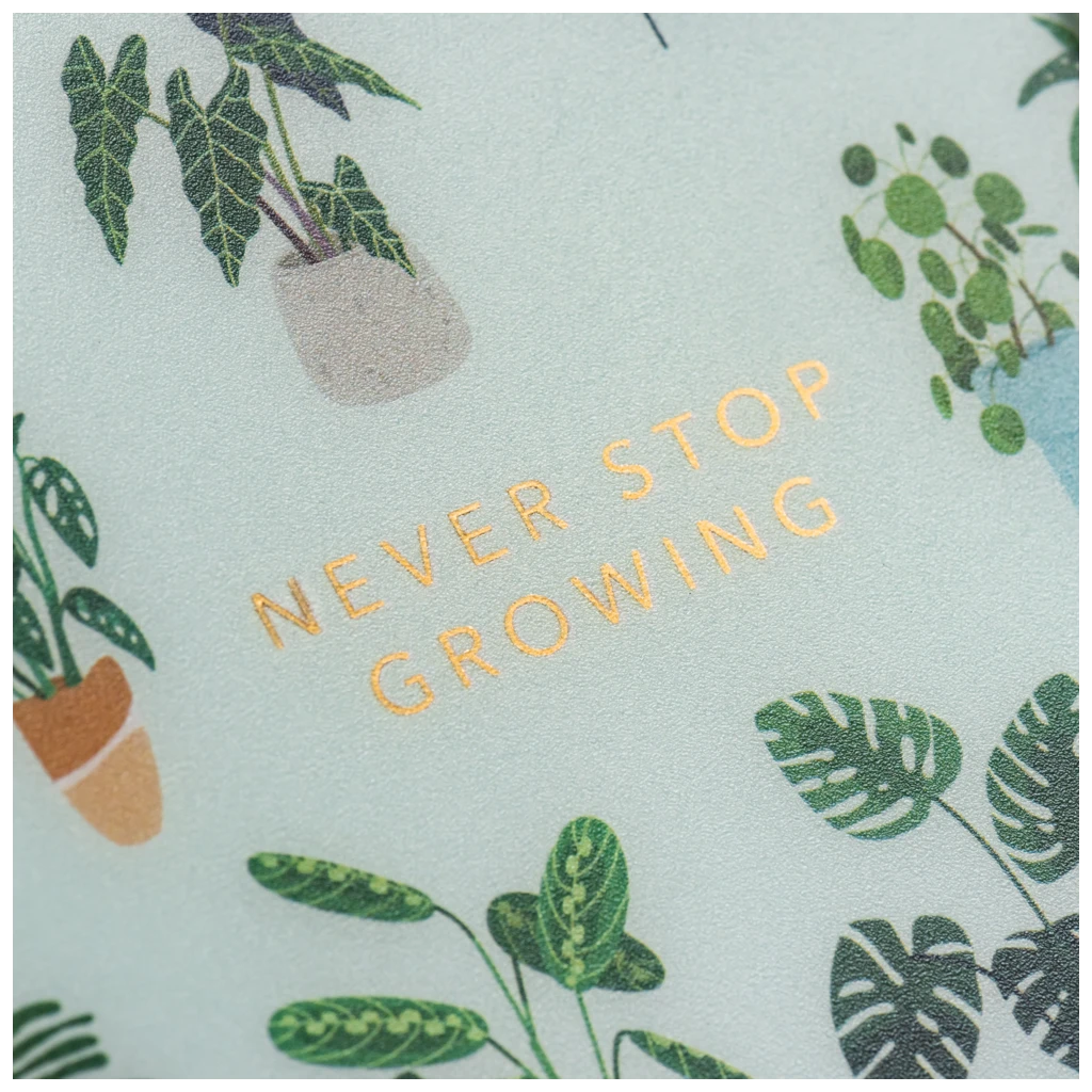 Schülerkalender 2025/2026 „Little Plants“ | A5, Kunststoff