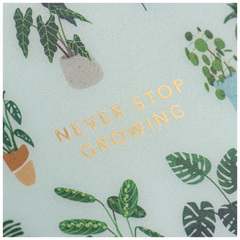 Schülerkalender 2025/2026 „Little Plants“ | A5, Kunststoff