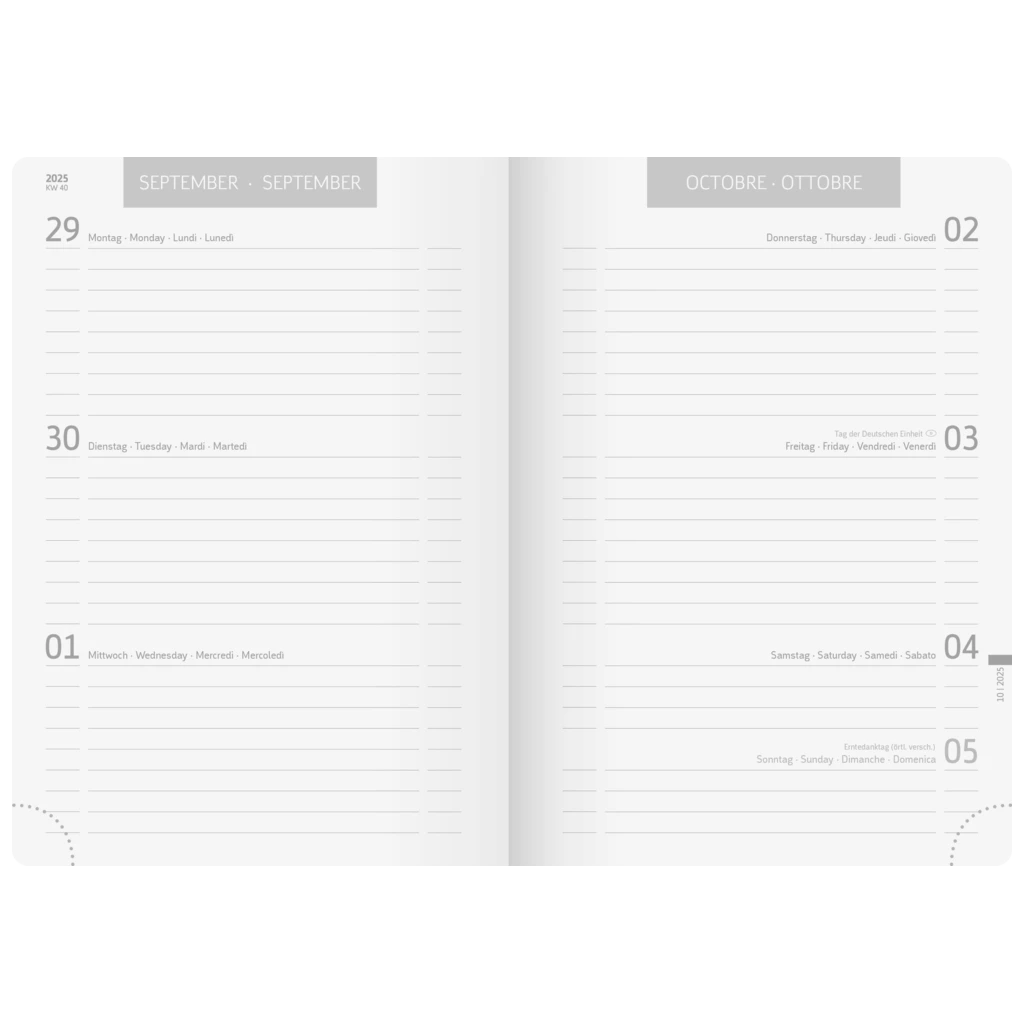 Schülerkalender 2025/2026 FACT!plus | A5, Karton, braun