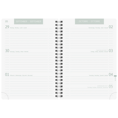 Schülerkalender 2026/2027 „Sprout“ | A5, Papier