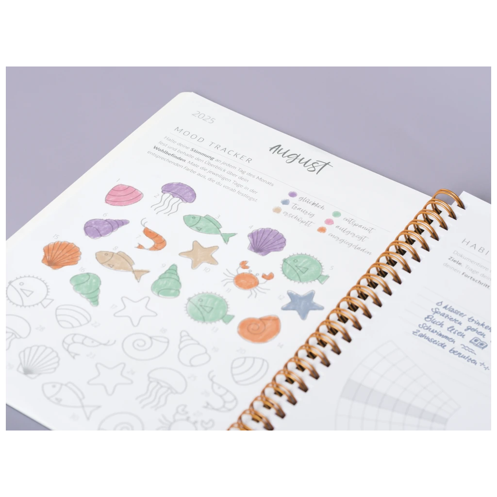 Schülerkalender Style 2025/2026 „Clouds“ | A5, Kunststoff