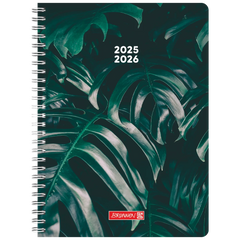 Schülerkalender Style 2025/2026 „Monstera“ | A5, Kunststoff