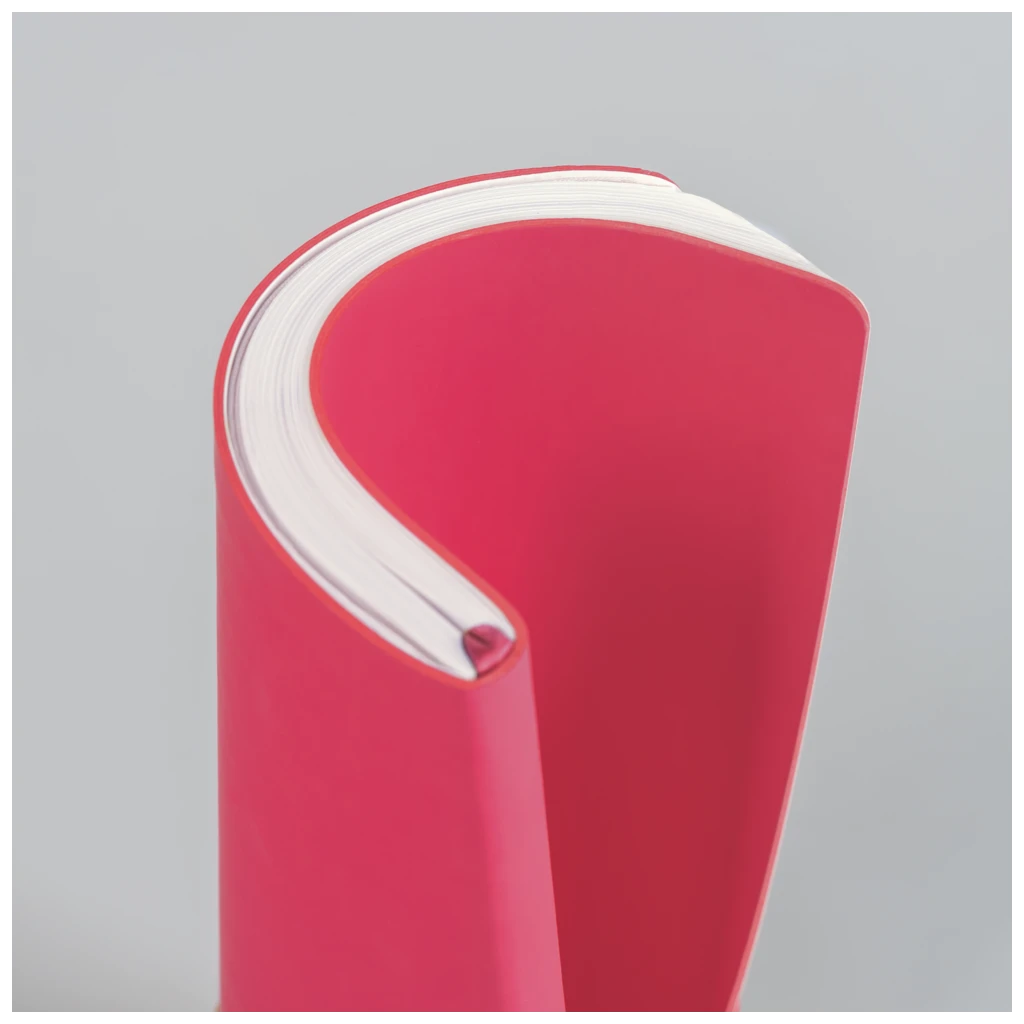 Buchkalender Kompagnon Mod. 791 66 2026 | A5, Kunststoff, pink