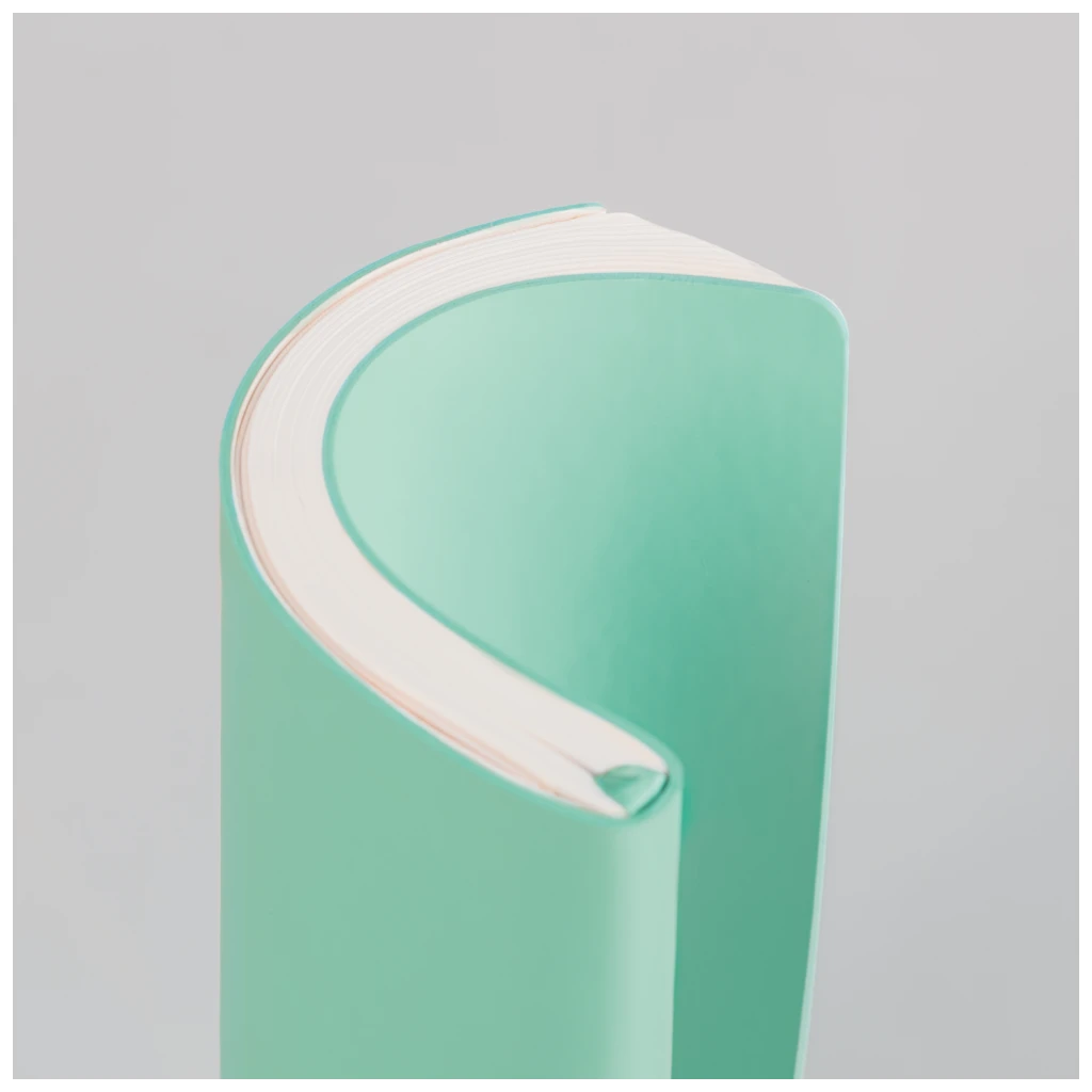 Buchkalender Kompagnon Mod. 791 66 2026 | A5, Kunststoff, hellgrün