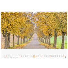 Bildkalender '25 „Wege mit Weitblick“ | 440×310 mm